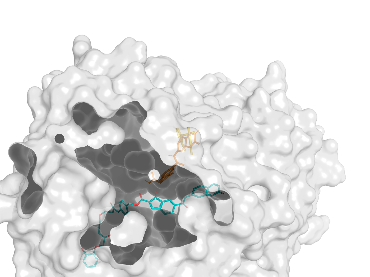 AI-designed therapeutic ligand bound in the active site of an essential bacterial enzyme — computational model