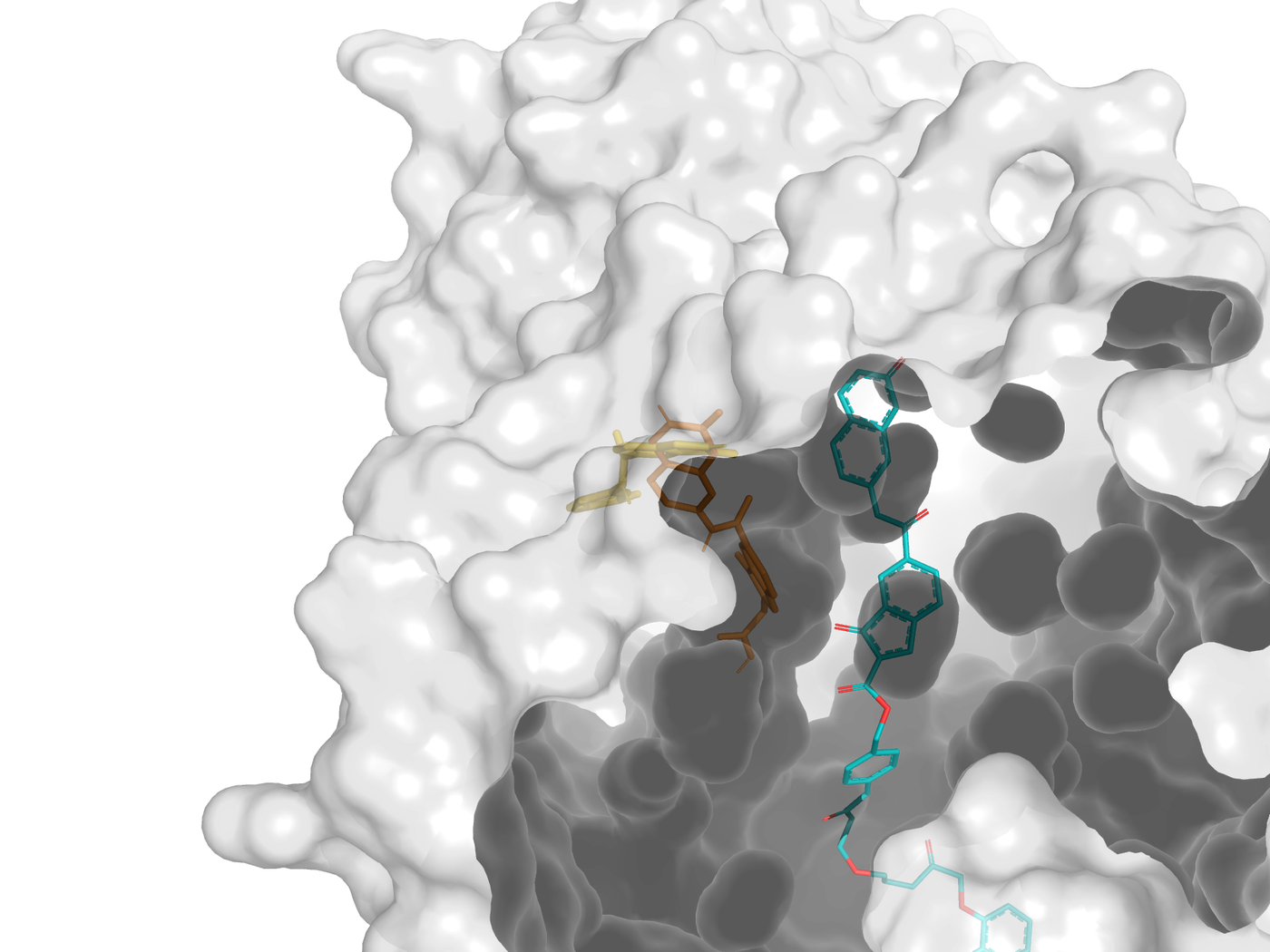 Close-up view of a Febris-designed small molecule extending through an essential bacterial enzyme binding pocket